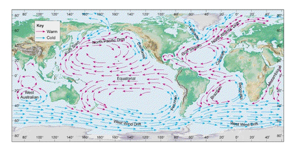 NOAA Ocean Currents - Marine Science - Quyen Tran