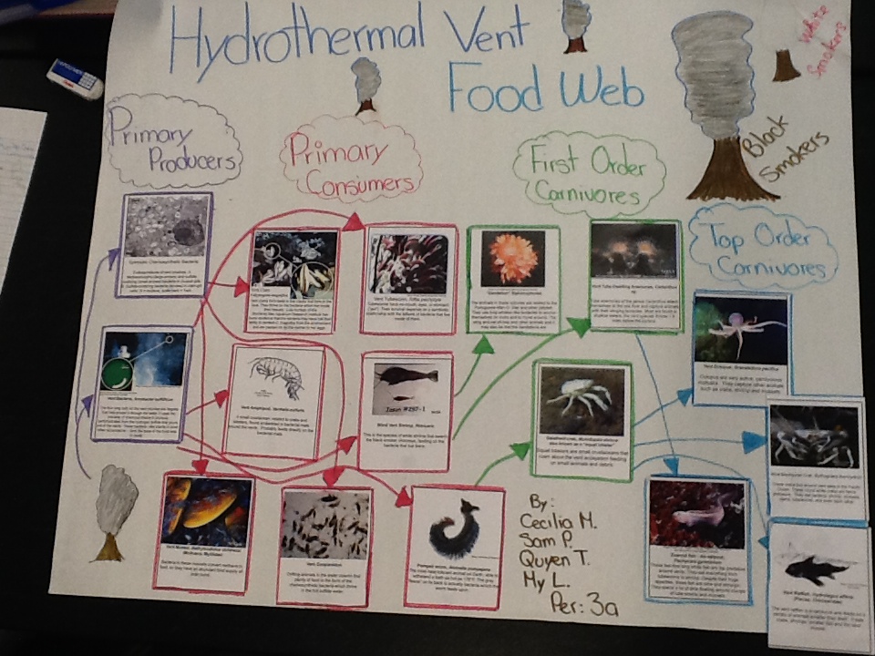 Hydrothermal Vent Food Web - Marine Science - Quyen Tran