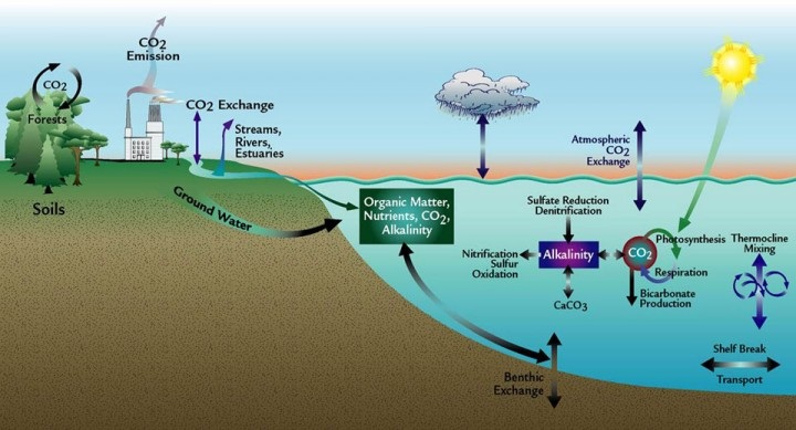 Hydrologic and Carbon Cycles Video - Marine Science - Quyen Tran